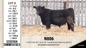 Lot #8 - N806
