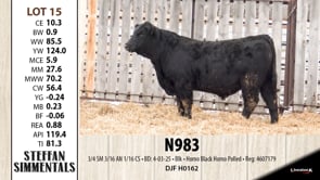 Lot #15 - N983