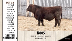 Lot #32 - N805