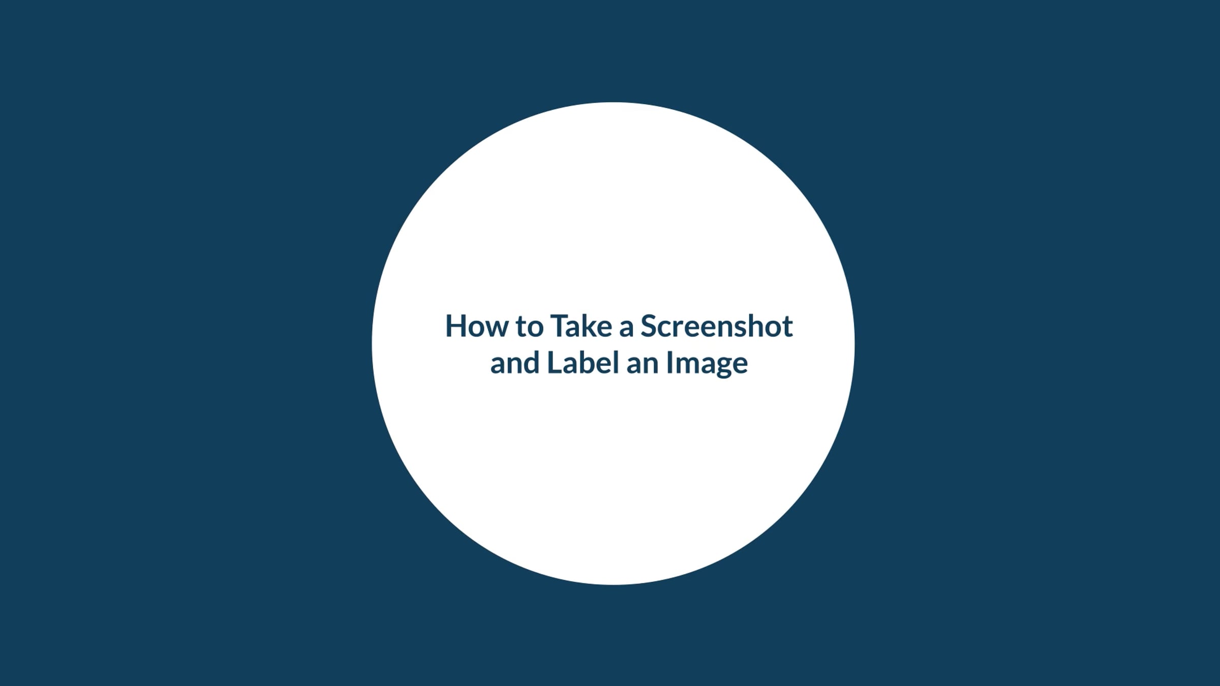 How to Screenshot and Label an Image | Videos & Movies on Vimeo
