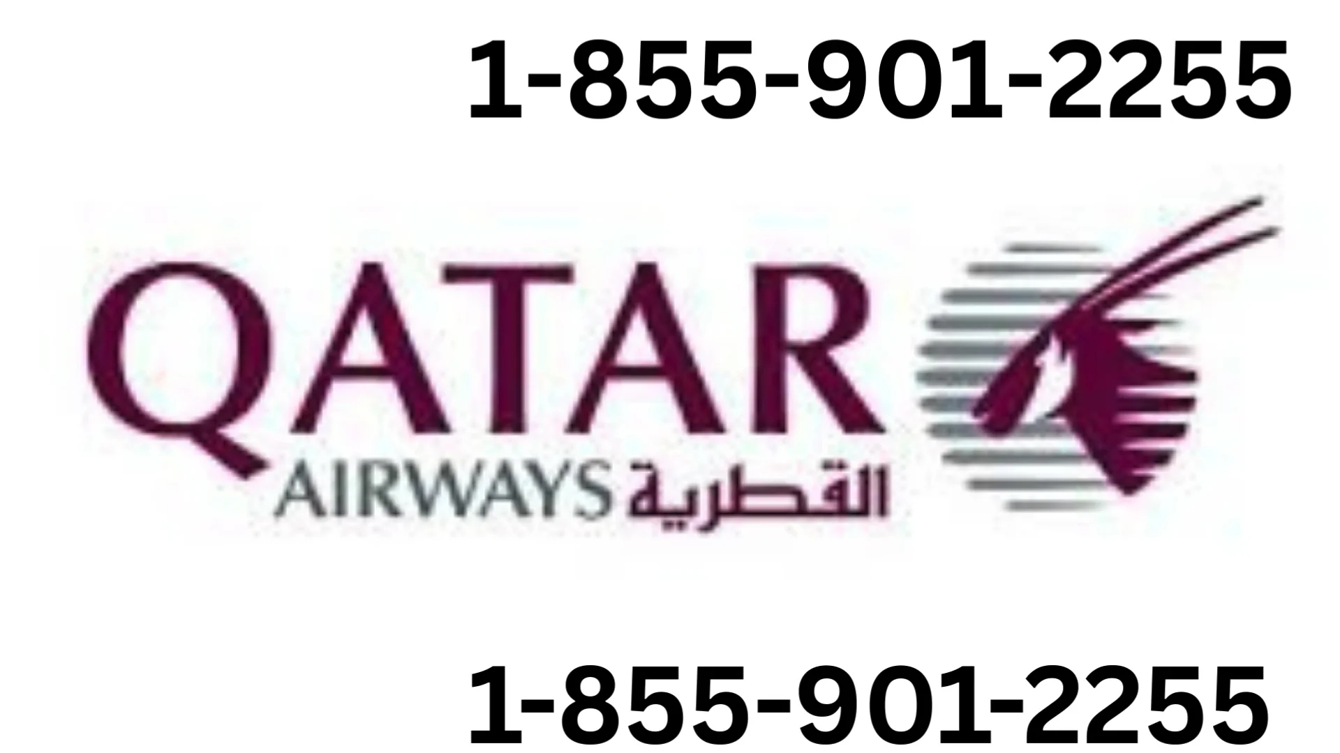 |Qatar Airways |Customer Service Official | Step-by-Step Explained Support Manual