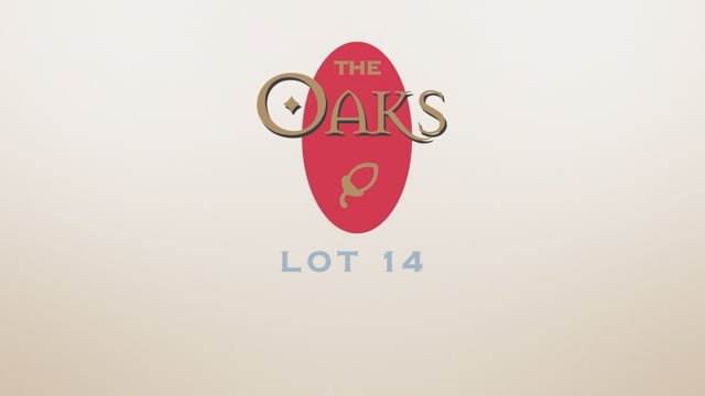 Lot 14