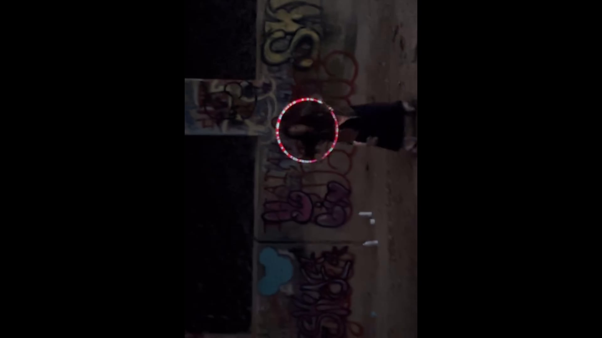 Promotional video thumbnail 2 for Shake Their Bones Flow