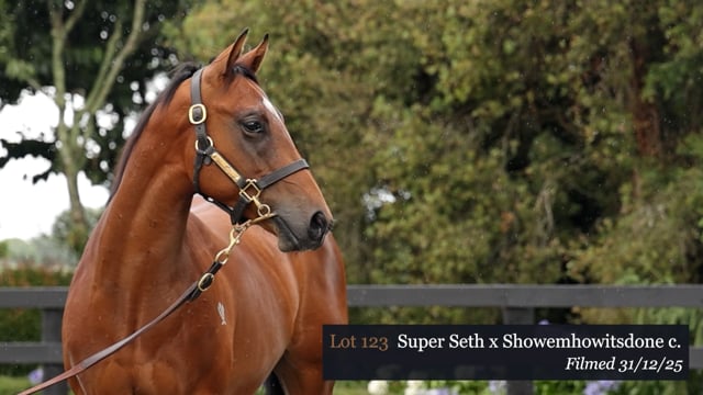 Lot 123