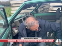 San Benedetto - Sulle orme dei lupi in zona Agraria: crescono gli avvistamenti