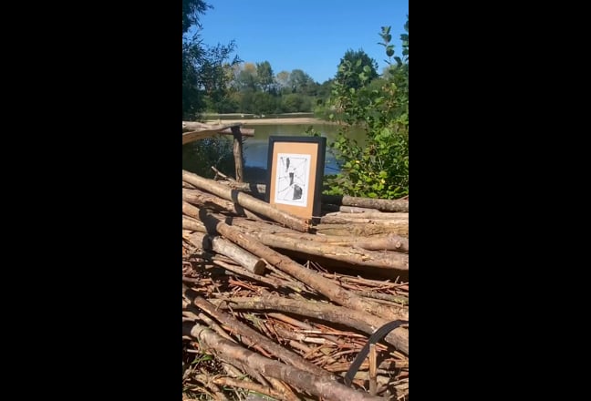 looking for a quite house share  Main Photo