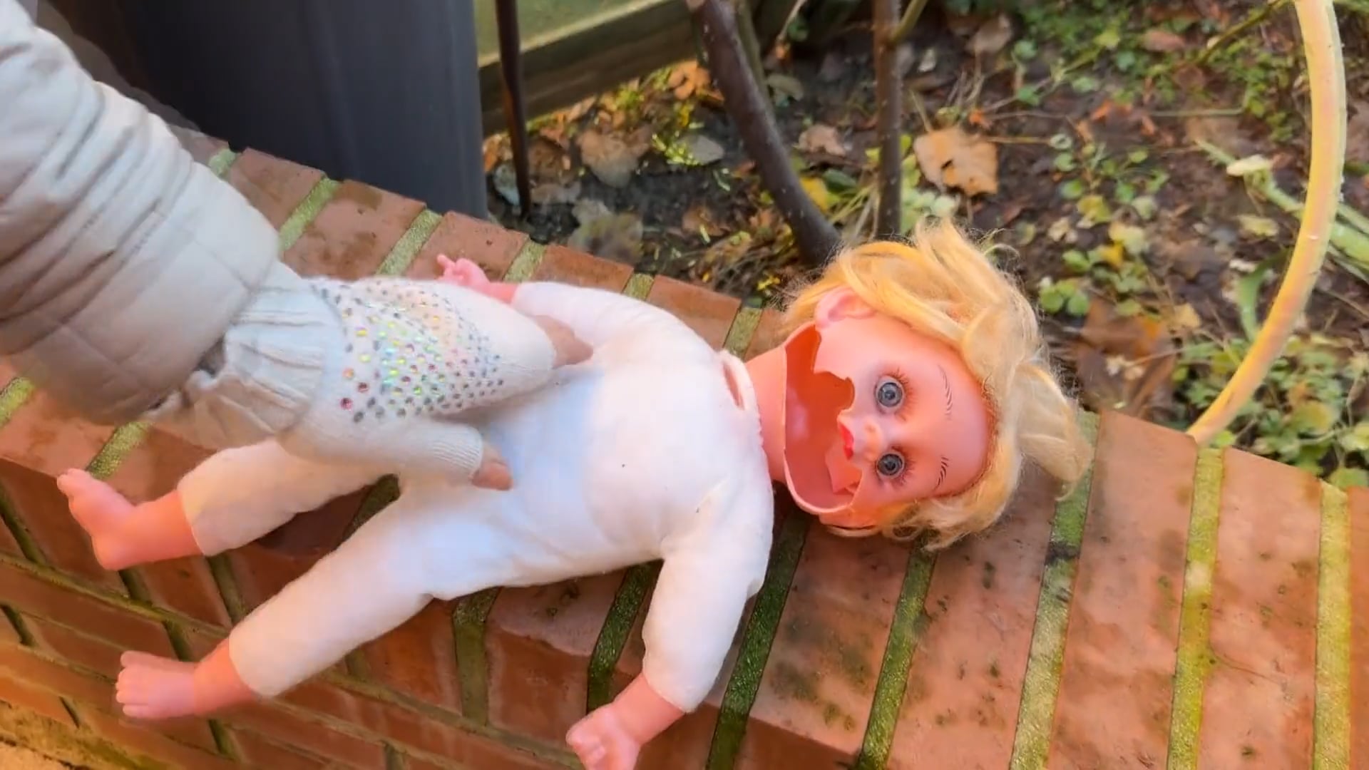 Furti e danneggiamenti nella corte di via Rimesse