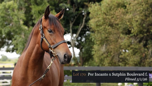 Lot 170