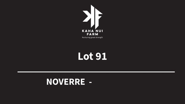 Lot 91