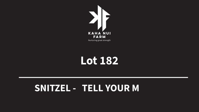 Lot 182