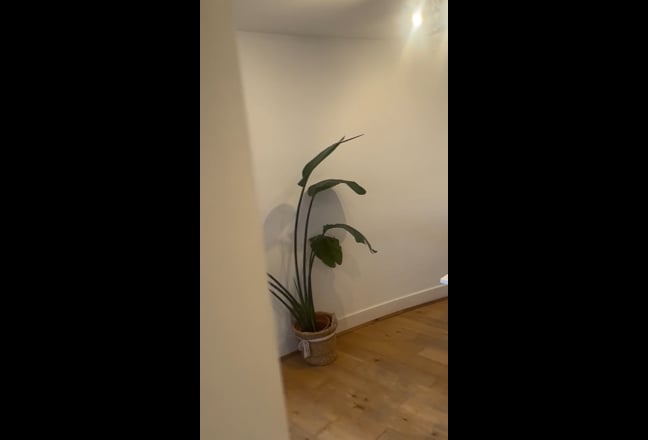 Gorgeous double en-suite room in middle of Clapham Main Photo