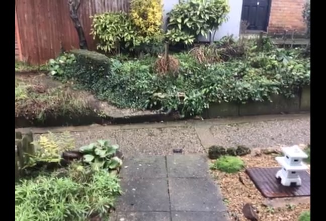 Beautiful location Zone 2   Main Photo