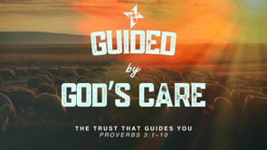 The Trust That Guides You