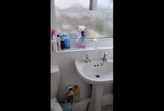 Lovely double and single room in Fishponds  Main Photo