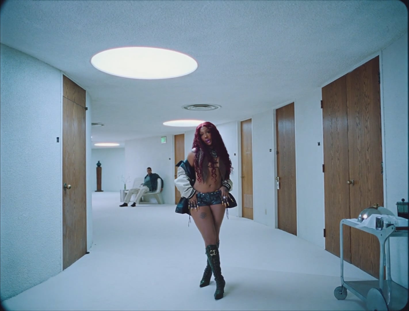 "Luther" Kendrick Lamar & SZA - Karena Evans 