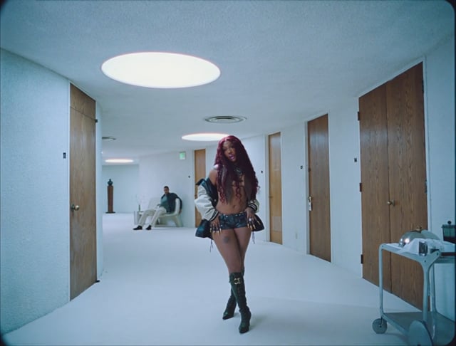 "Luther" Kendrick Lamar & SZA - Karena Evans 