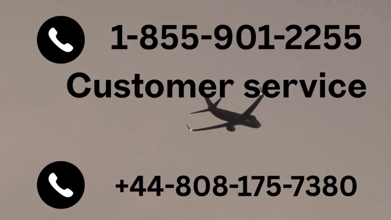 {211+}_Ways to Access Spirit Airlines&reg;&trade; Customer Service Phone Number Step by Step Expert Guide
