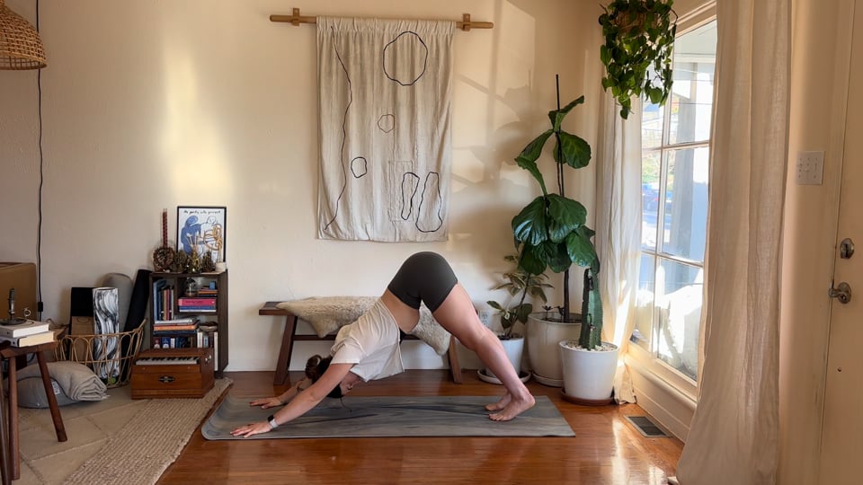 Start With the Body, a 15-minute short yoga class with Haley Havelock