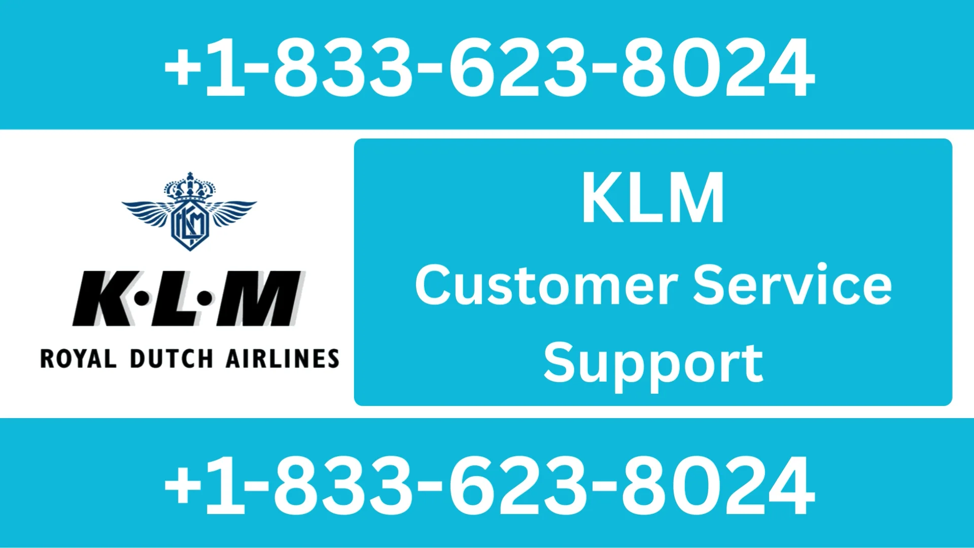 【KLM】&trade;&reg; Official Customer Service | 24/7 Live Help & Support Guide