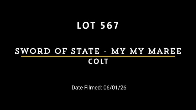 Lot 567