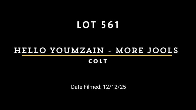 Lot 561