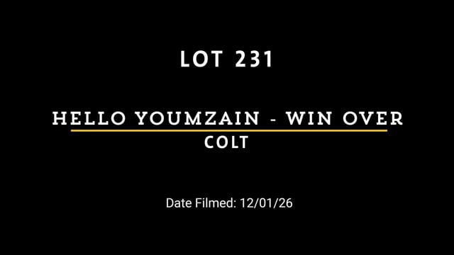 Lot 231