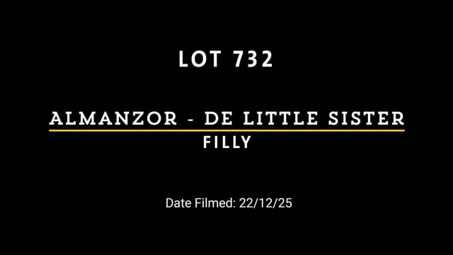 Lot 732