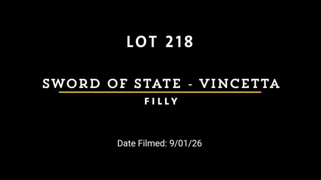 Lot 218