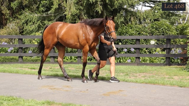 Lot 468
