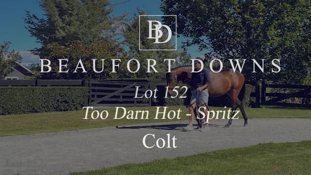 Lot 152