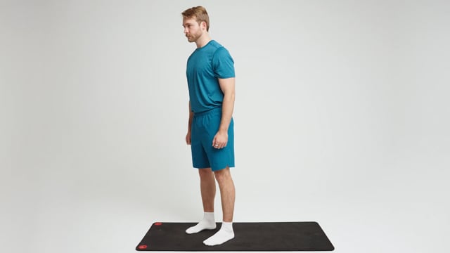 Squat (Shoulder Width Stance)