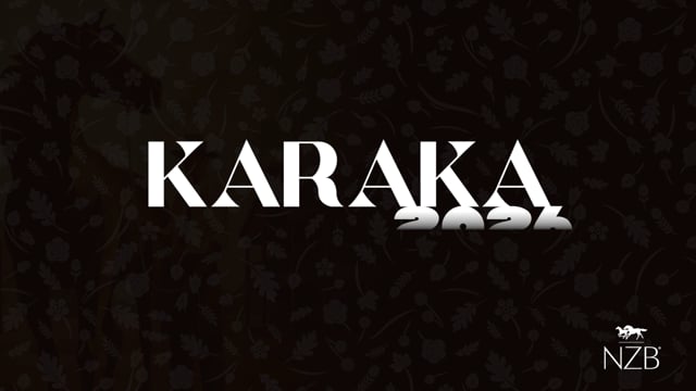 100th NZ National Yearling Sale | Trelawney Stud