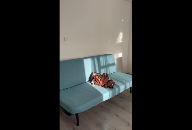 Three Rooms Newly Refurbish – HA9 🏠 Wembley Park Main Photo