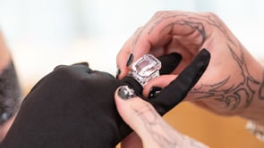 Swarovski x Nemo