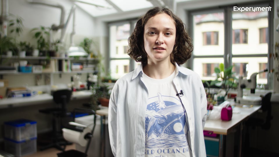 Kadr z realizacji: Instytut Oceanografii