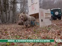 Abruzzo - Il silenzioso ritorno di Nina alla natura
