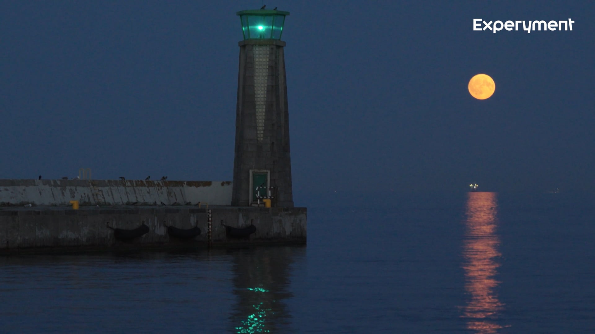 Event Więcej gwiazd 2