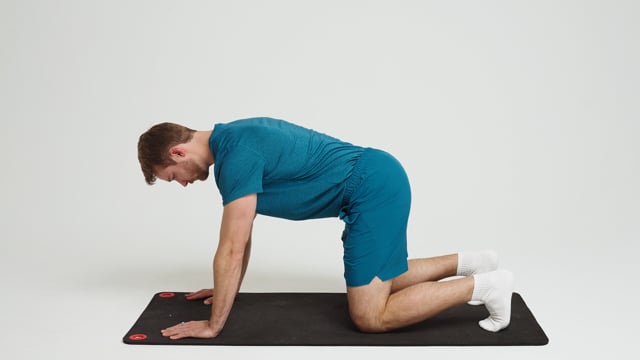 Quadruped Core Stabilization