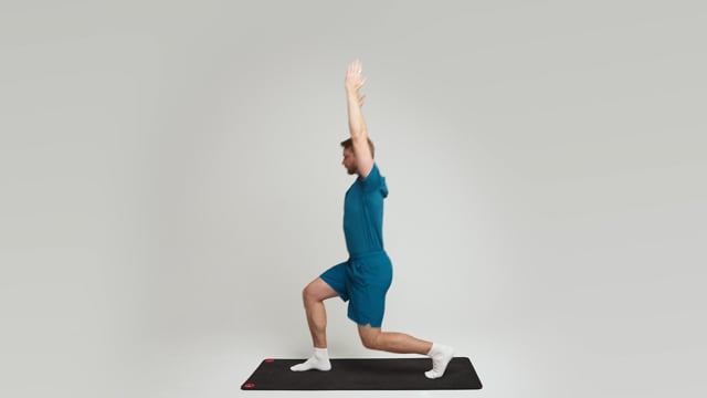 Lunge