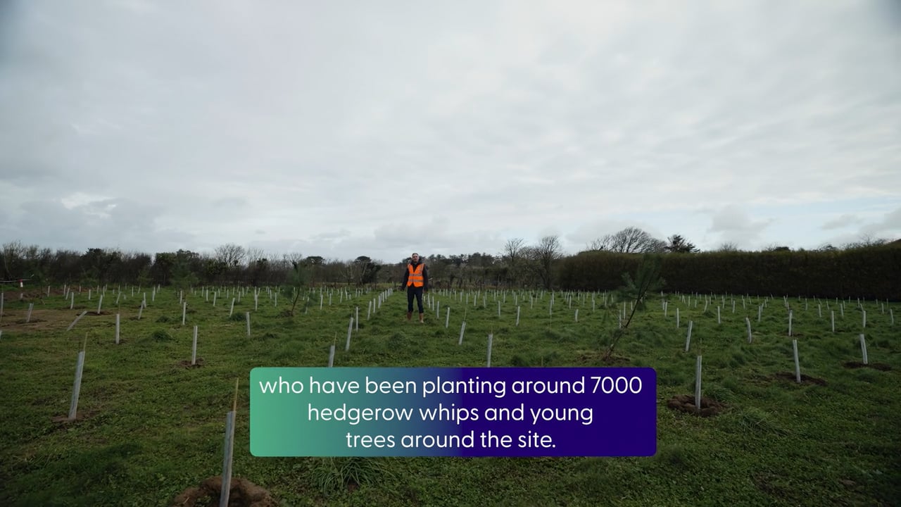 St John Solar Farm, construction update Image