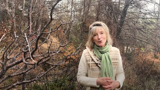 Notre voisin le feu - Vidéo ePOP