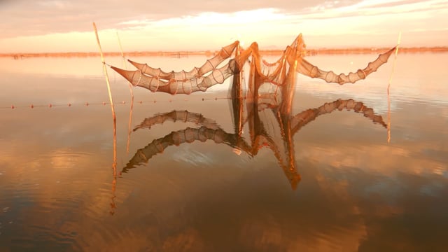 Alerte bleue sur l&rsquo;Etang de l&rsquo;Or - Vidéo ePOP