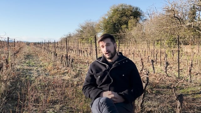 Vers un monde sans vin - Vidéo ePOP