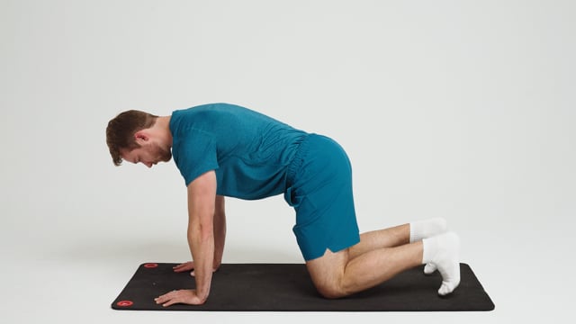 Quadruped Core Stabilization (Feet and Hands)