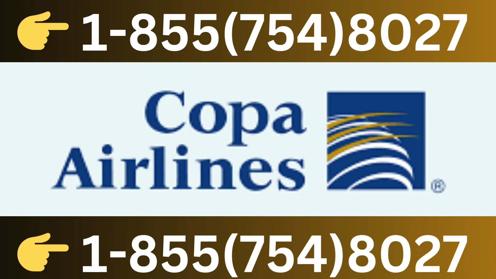 Official Guide to Copa Airlines&reg; Customer Service & Assistance