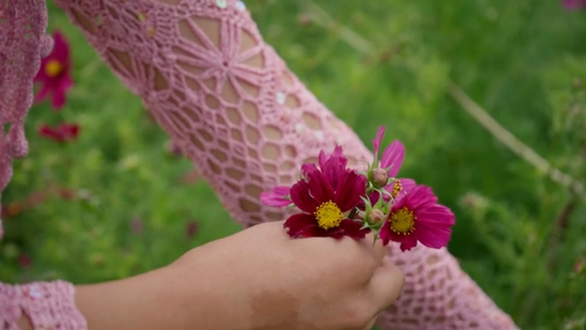 Jaixia - A Soft Place to Land