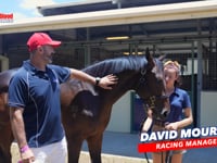 Capitalist x Air To Air Colt David