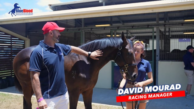 Capitalist x Air To Air Colt David