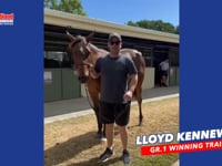 Toronado x Crystal Rock Filly LLOYD