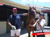 Toronado x Crystal Rock Filly DAVID MOURAD